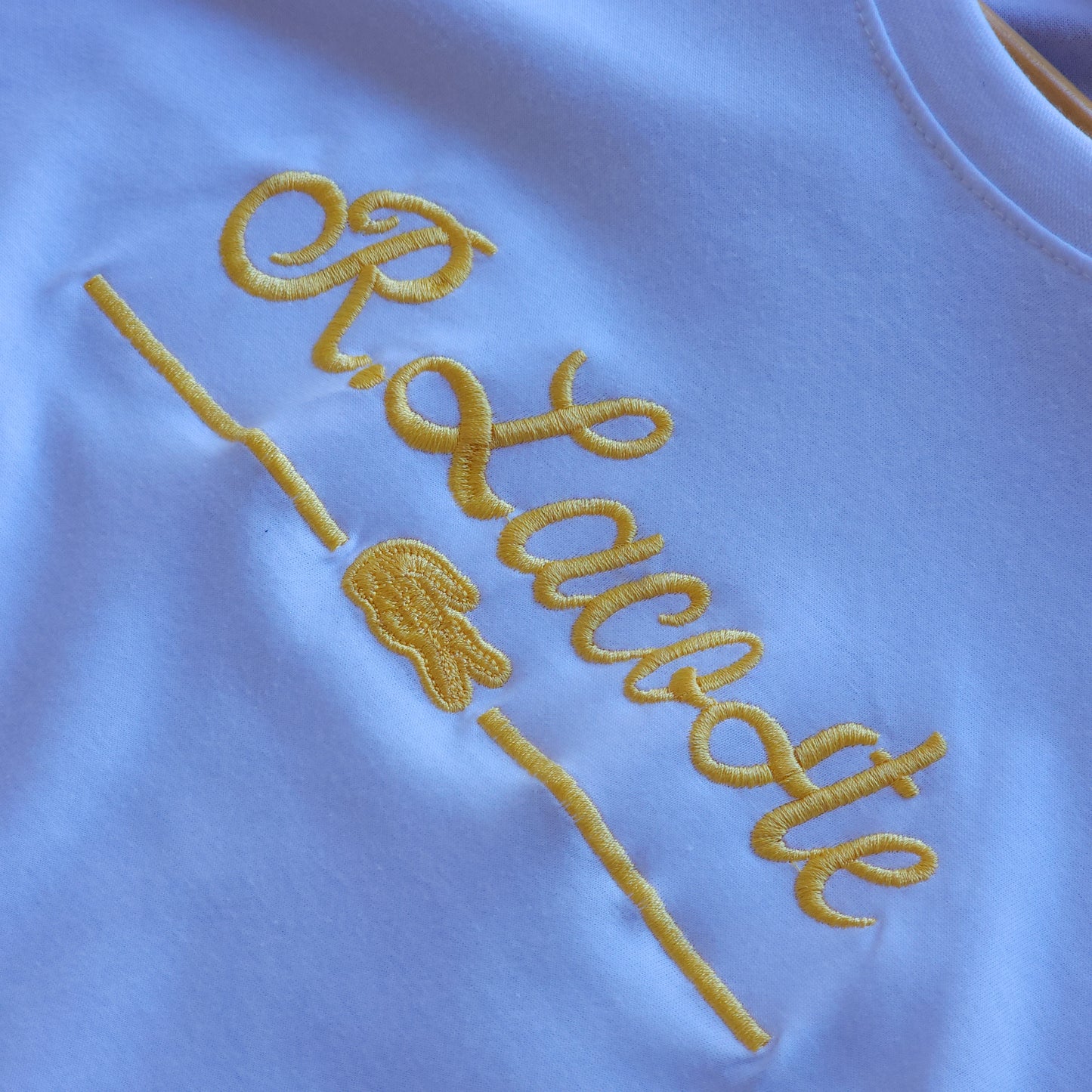 CAMISETA MALHA PERUANA FIO 40.1