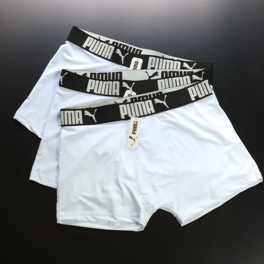 LINHA PERFORMANCE - 1 Grade com 12 cuecas ( COR ÚNICA BRANCA)